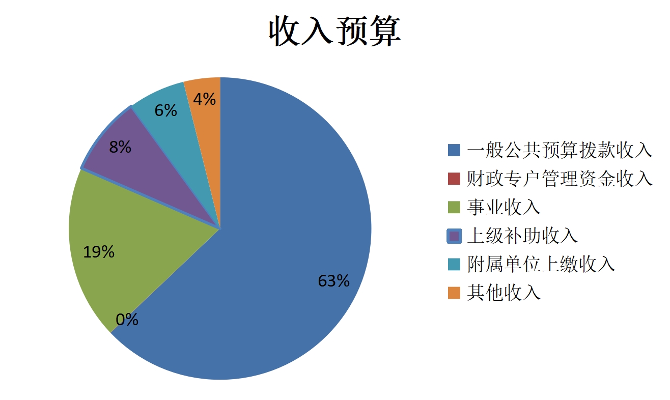 收入预算
