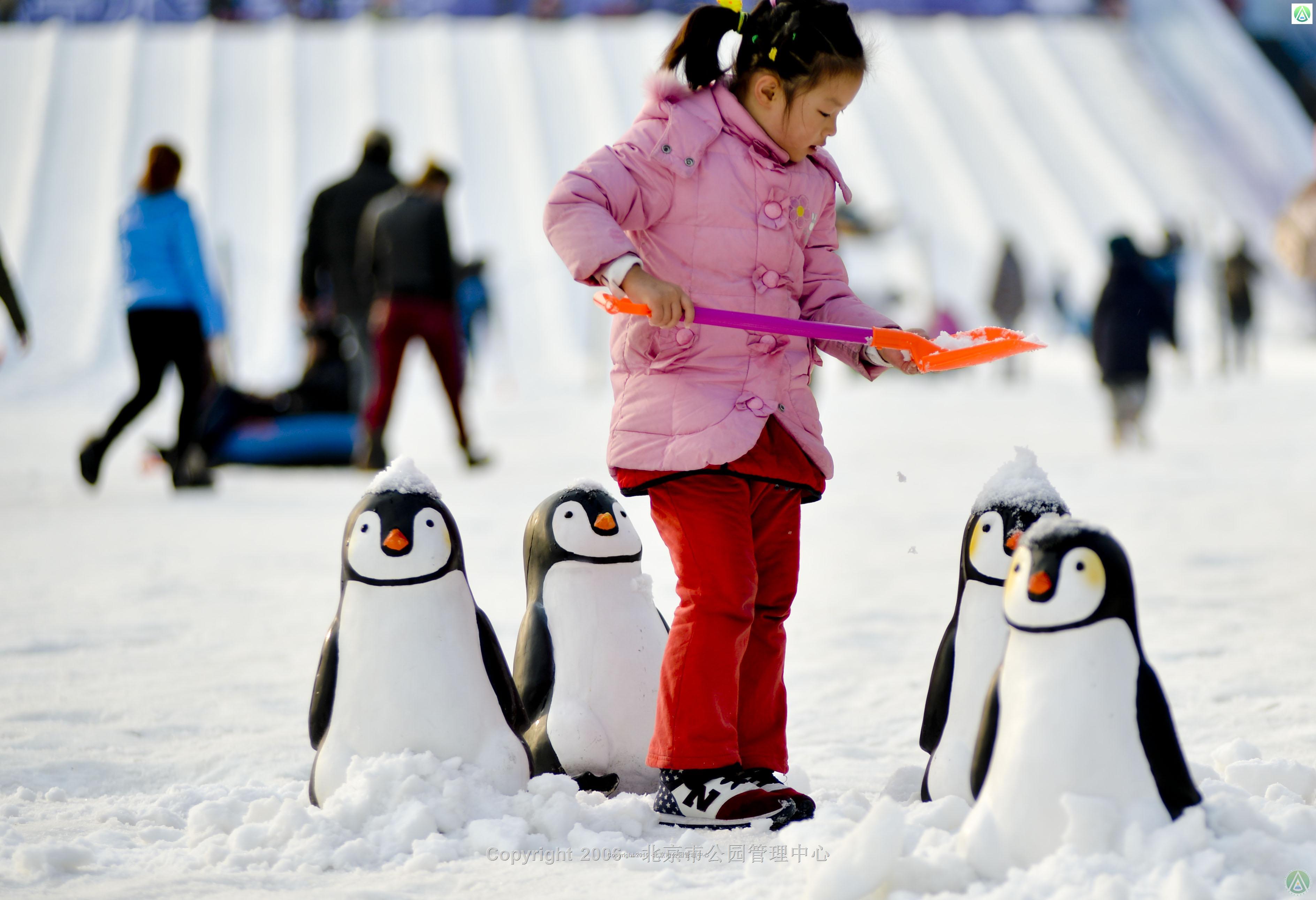 陶然亭公园第五届冰雪嘉年华