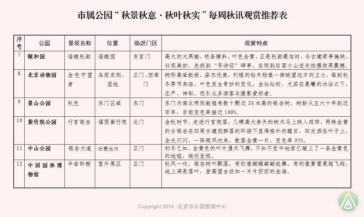 市属公园里“最浓”秋色