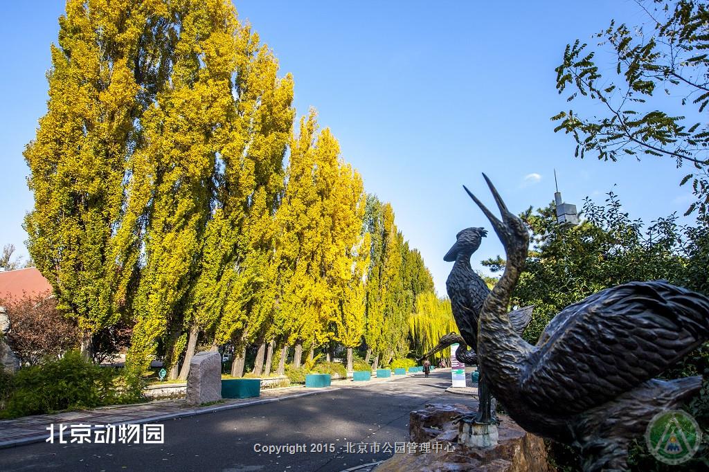 北京动物园