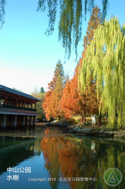 中山公园水榭
