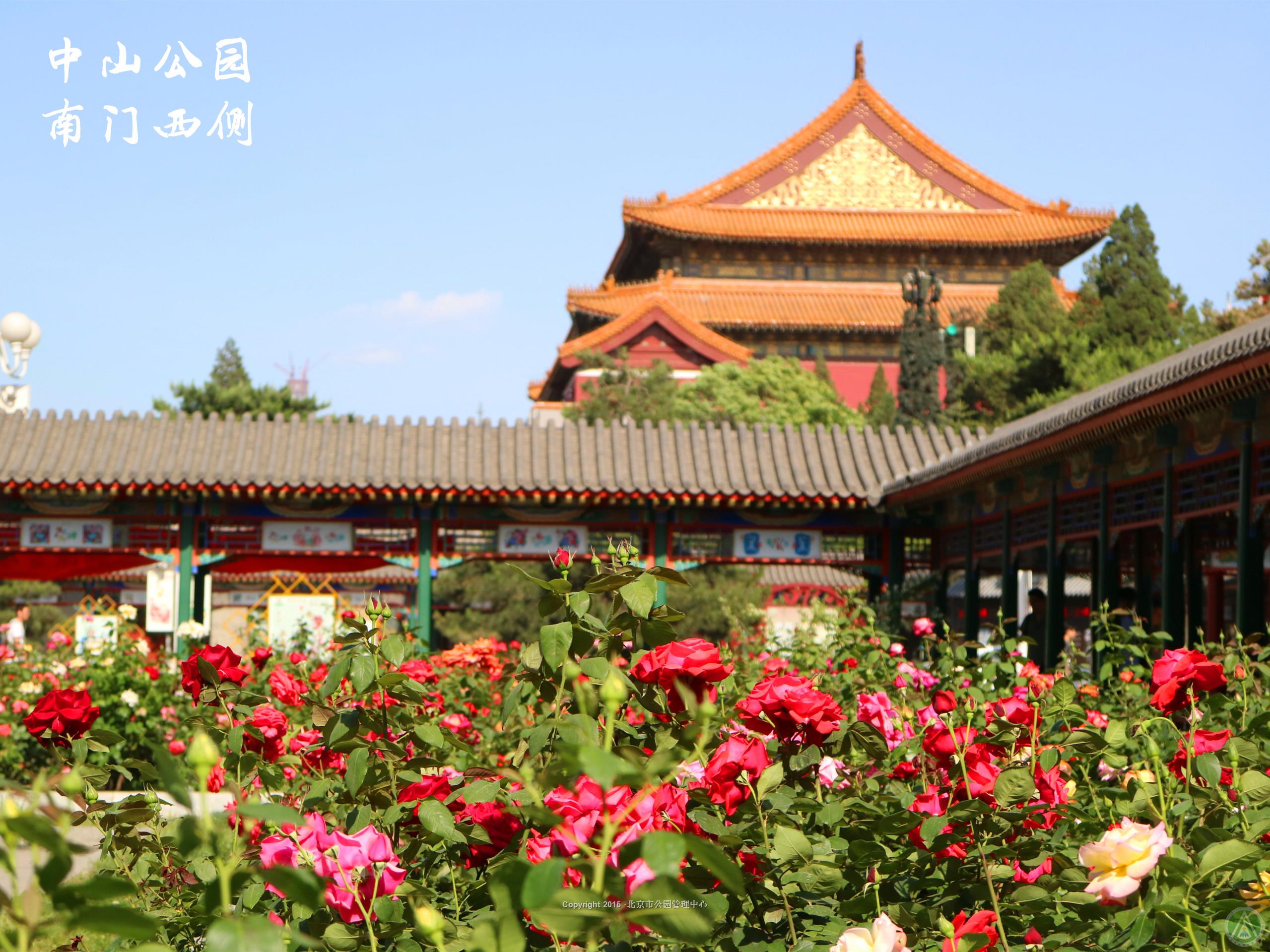 中山公园南门西侧