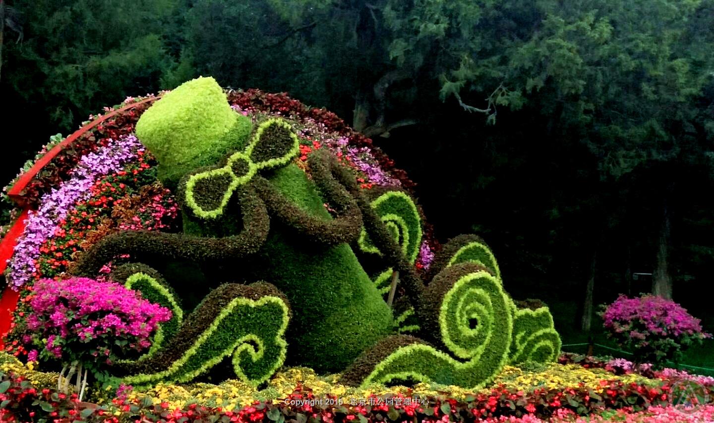 国庆摆花