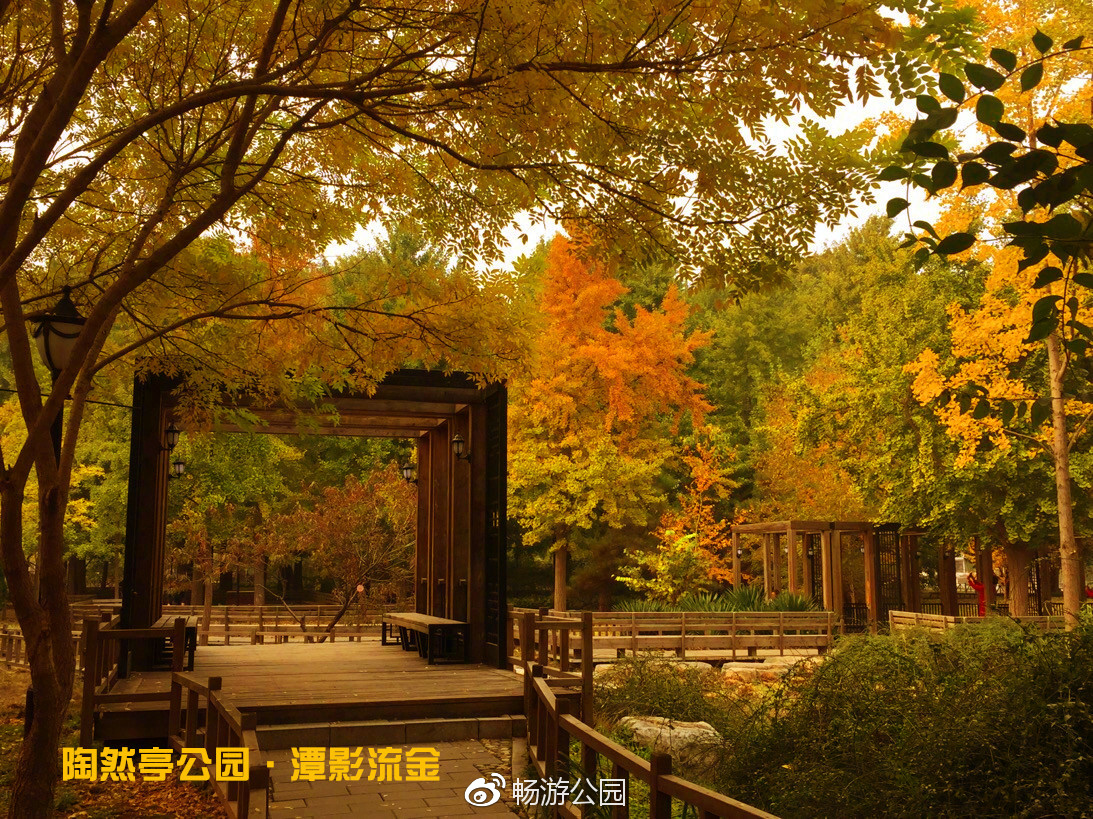  陶然亭公园