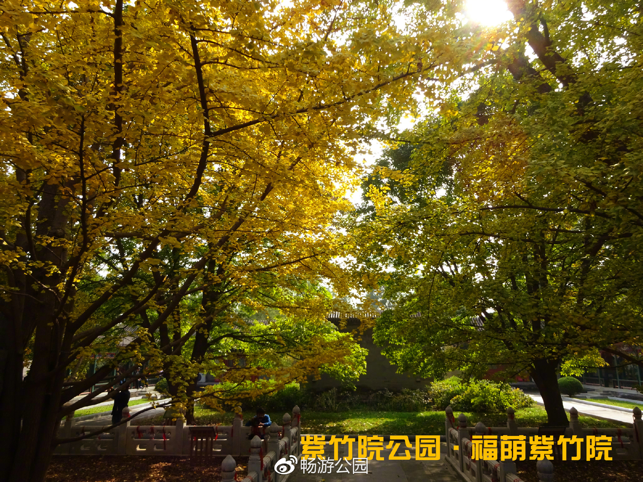 紫竹院公园