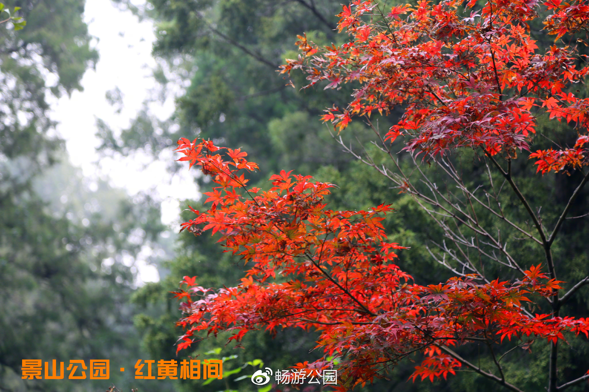 景山公园