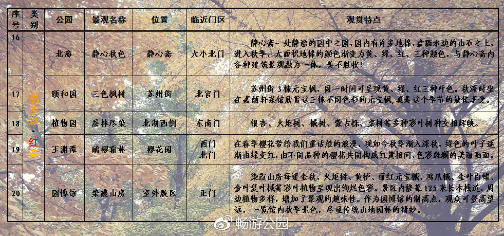 绚丽秋色