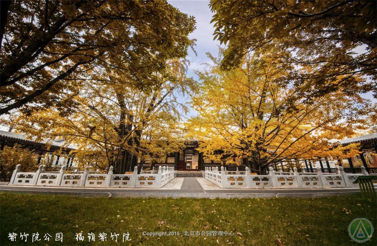 紫竹院公园·福荫紫竹院