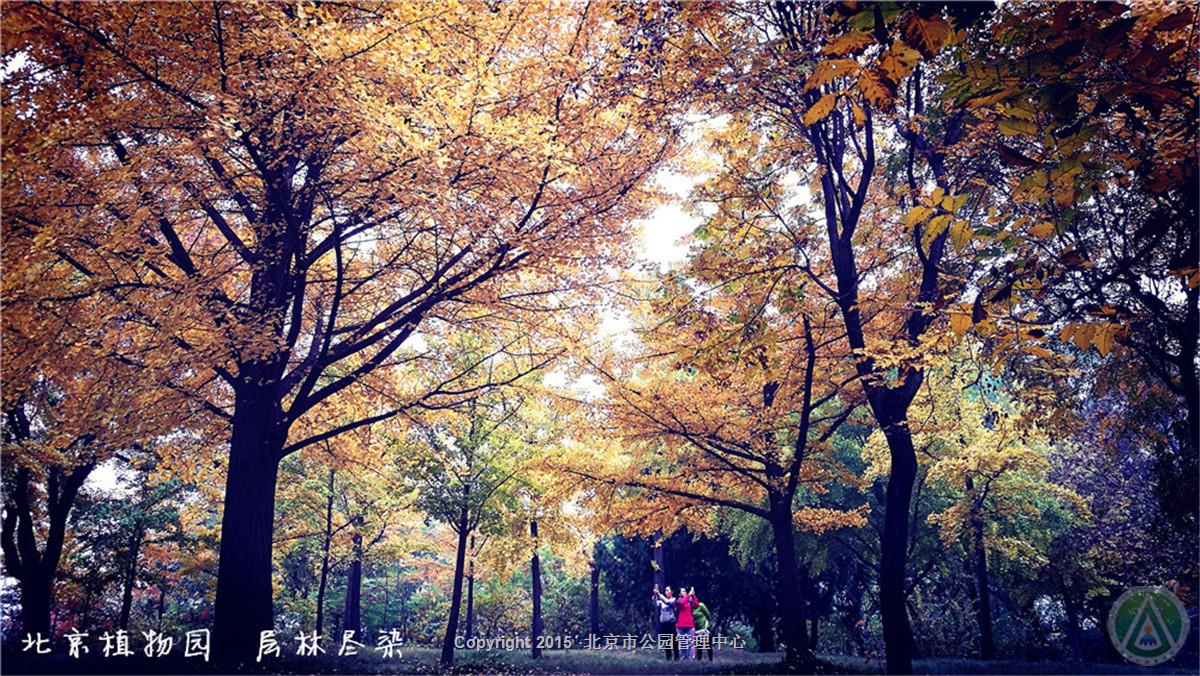 北京植物园