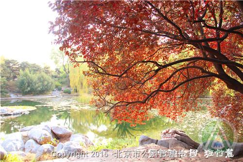 北京动物园金蝶起舞