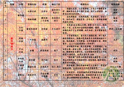 彩叶静枝头
