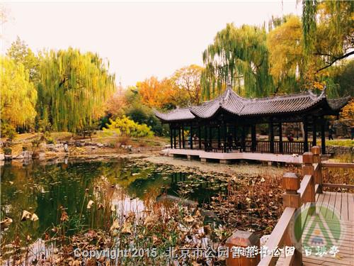 陶然亭公园