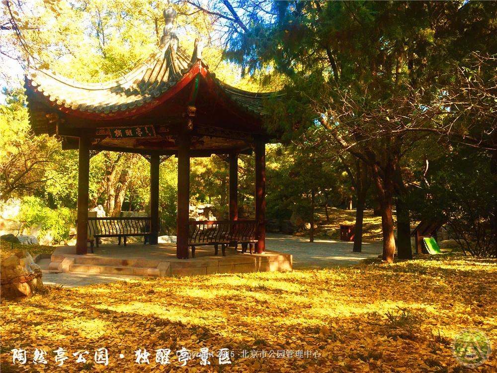 陶然亭公园·独醒亭景区