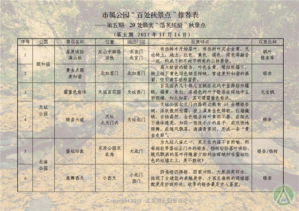 市属公园“百处秋景”落英缤纷秋景点