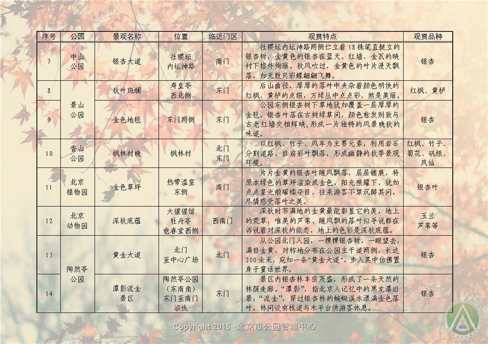 市属公园“百处秋景”落英缤纷秋景点