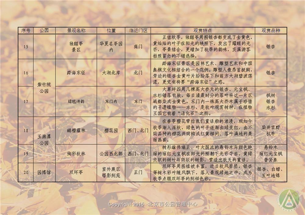 市属公园“百处秋景”落英缤纷秋景点