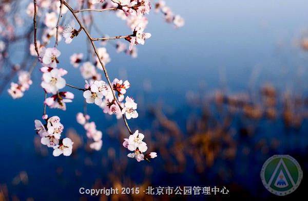 颐和园