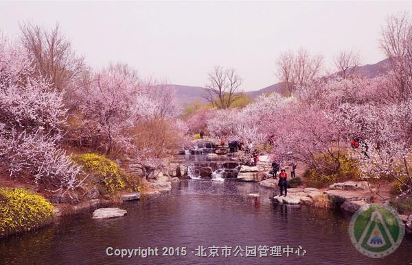 北京植物园