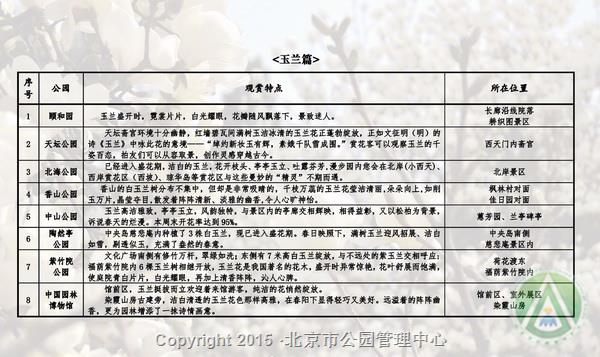 市属公园春季“花信风向标”——玉兰篇