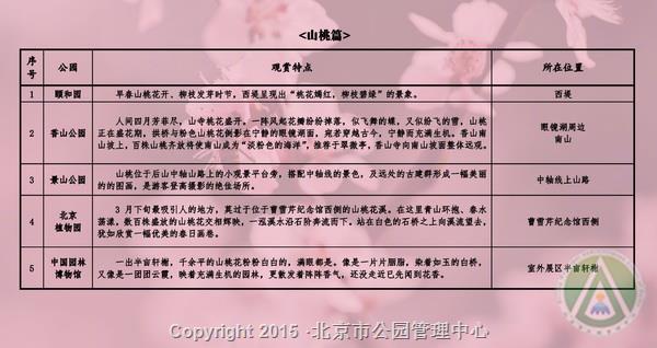 市属公园春季“花信风向标”——山桃篇