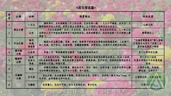 市属公园春季“花信风向标”——其他春花篇