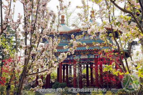 中国园林博物馆