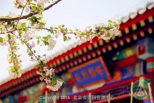 中国园林博物馆