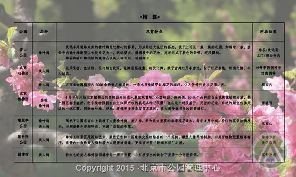 市属公园春季“花信风向标”第三期最佳观赏之梅篇