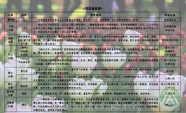市属公园春季“花信风向标”第三期春花盛放篇 市属公园春季“花信风向标”第三期春花盛放篇