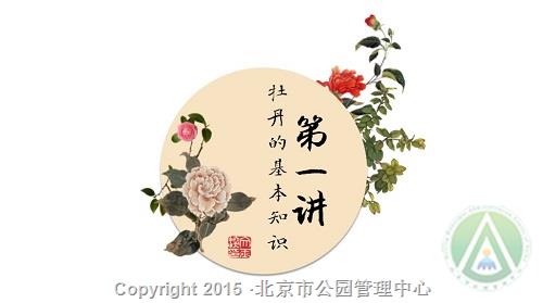 活动一：富贵花开—牡丹知识讲座