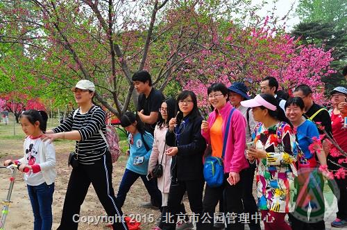 活动二：“专家带您识花草——桃花专场”