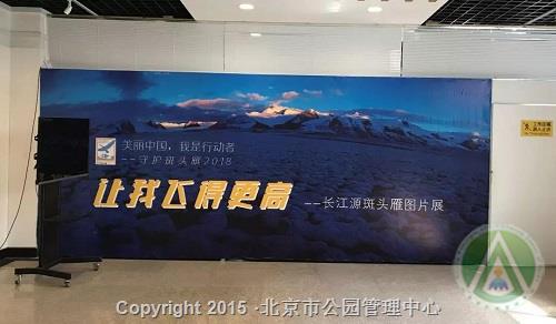 北京动物园活动二：主题图片展