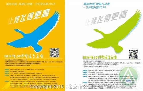 北京动物园活动三：长江源斑头雁视频直播