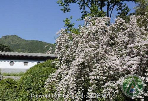 香山公园