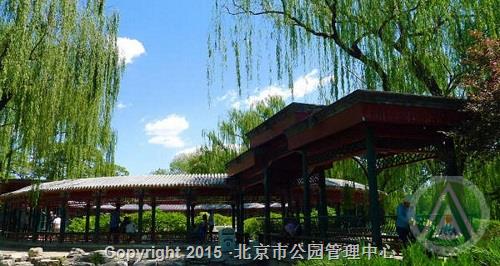   北京动物园
