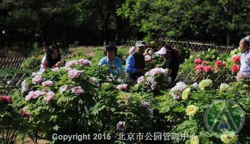 北京植物园