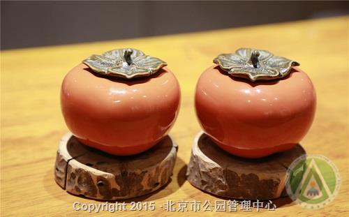 北京植物园“好柿成双”