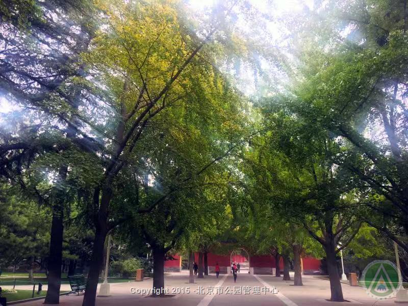 中山公园