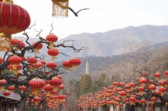 北京春节免费公园图片