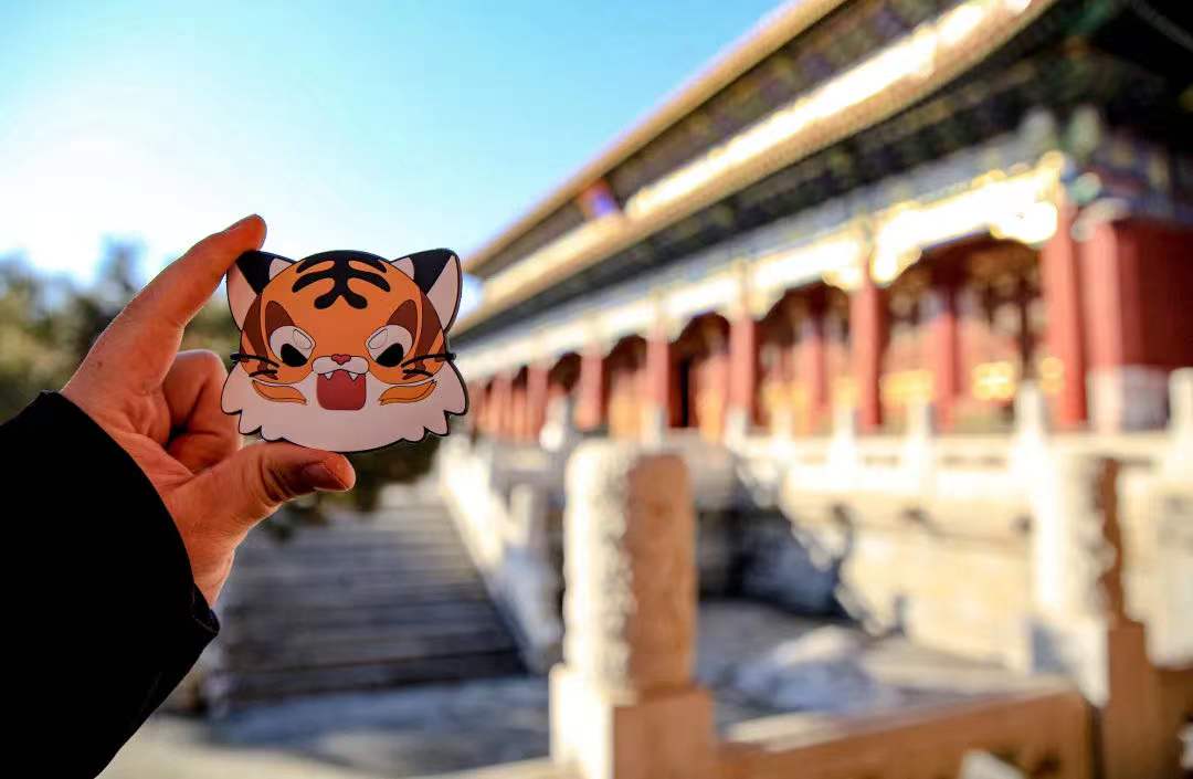 WeChat Image_20220129163439.jpg