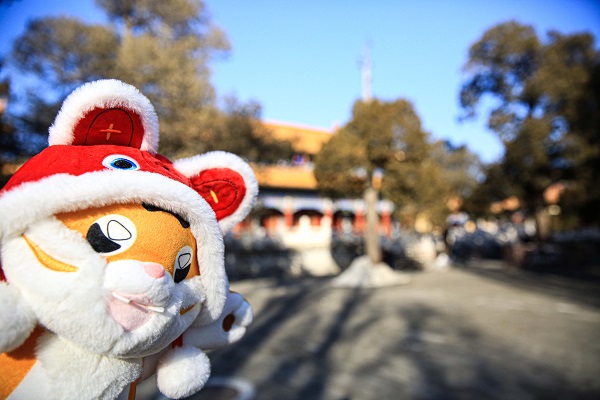 微信图片_20220126110259.jpg
