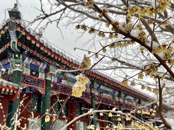 微信图片_20220214155415.jpg