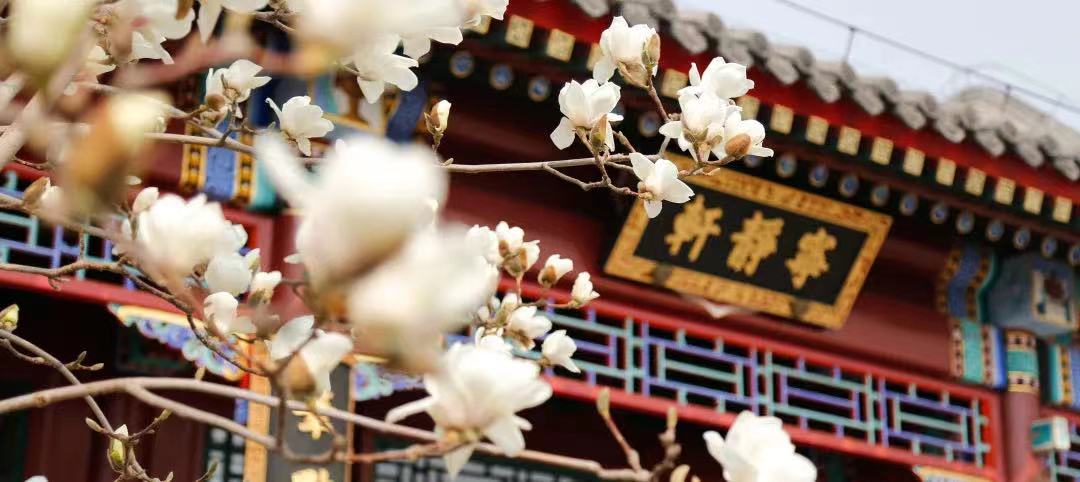 WeChat Image_20220321164512.jpg WeChat Image_20220321164512.jpg