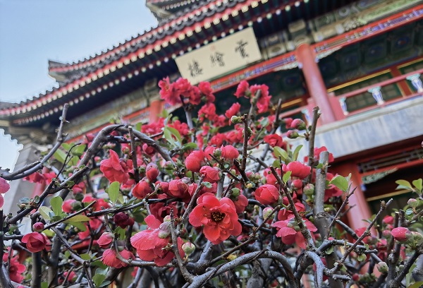 微信图片_20220331170609.jpg