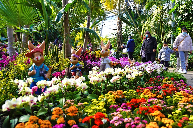国家植物园花展.jpg