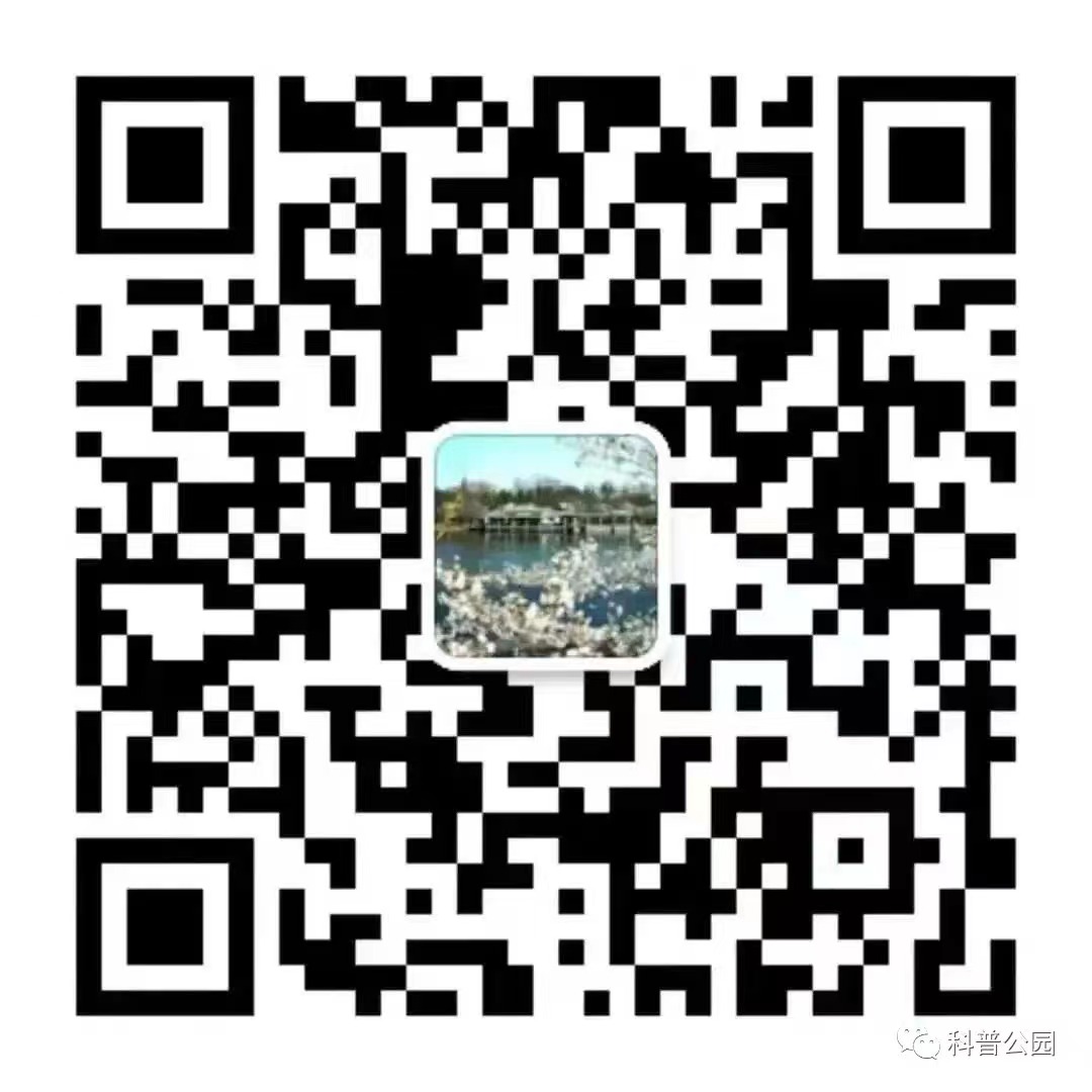 玉渊潭公园.jpg