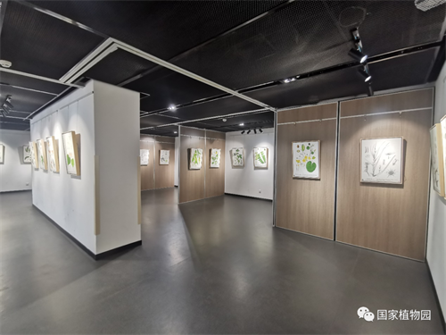 《颜·植》植物科学绘画展图片.png
