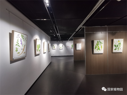 《颜·植》植物科学绘画展图片.png