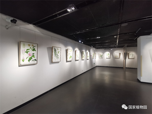 《颜·植》植物科学绘画展图片.png
