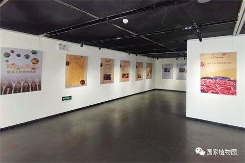 闻香识美食——餐桌上的香料植物展在国家植物园科普馆举办.jpg